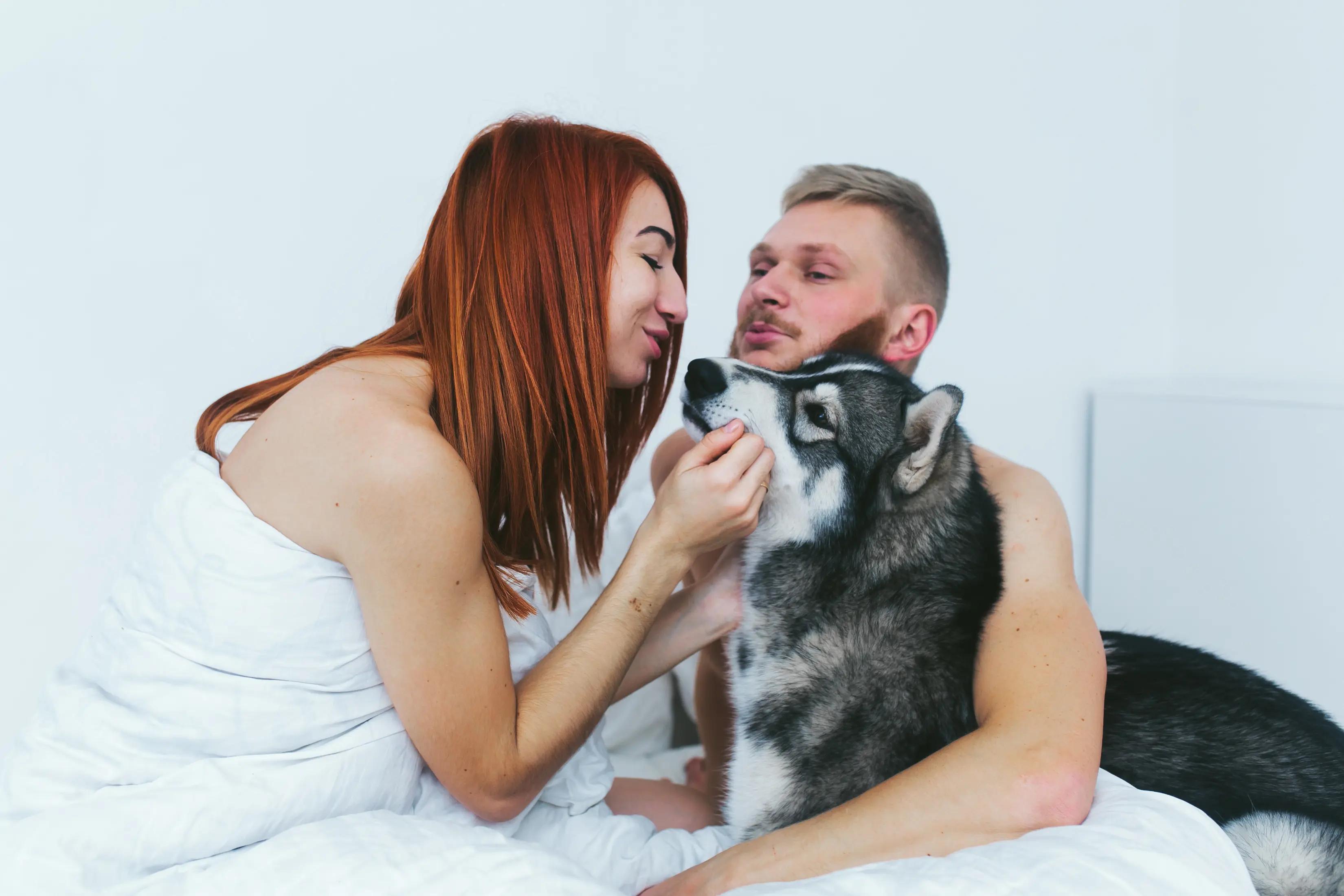 Dva lidé se hádají, pes mezi nimi sedí na zemi