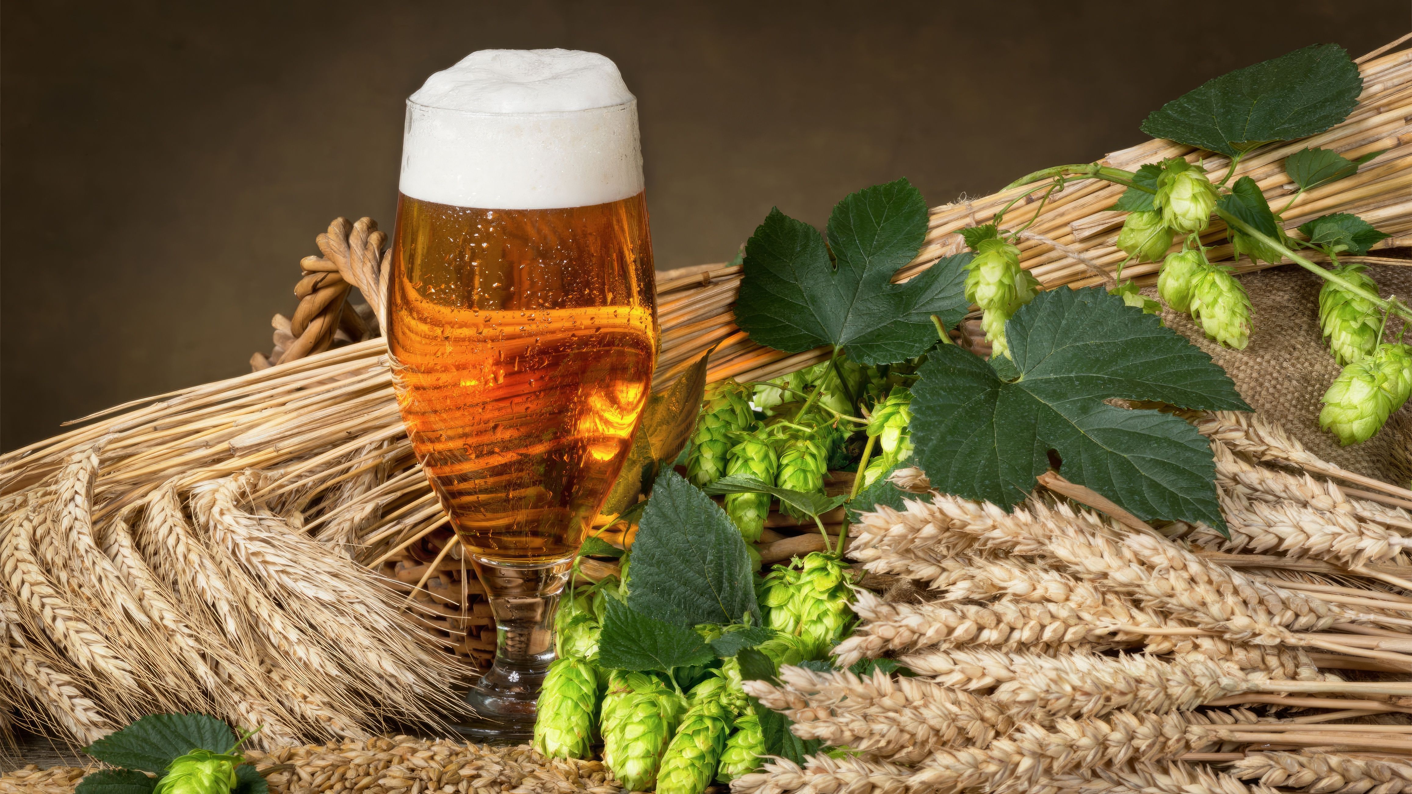 Láhev Pilsner Urquell s načepovaným půllitrem na dřevěném stole
