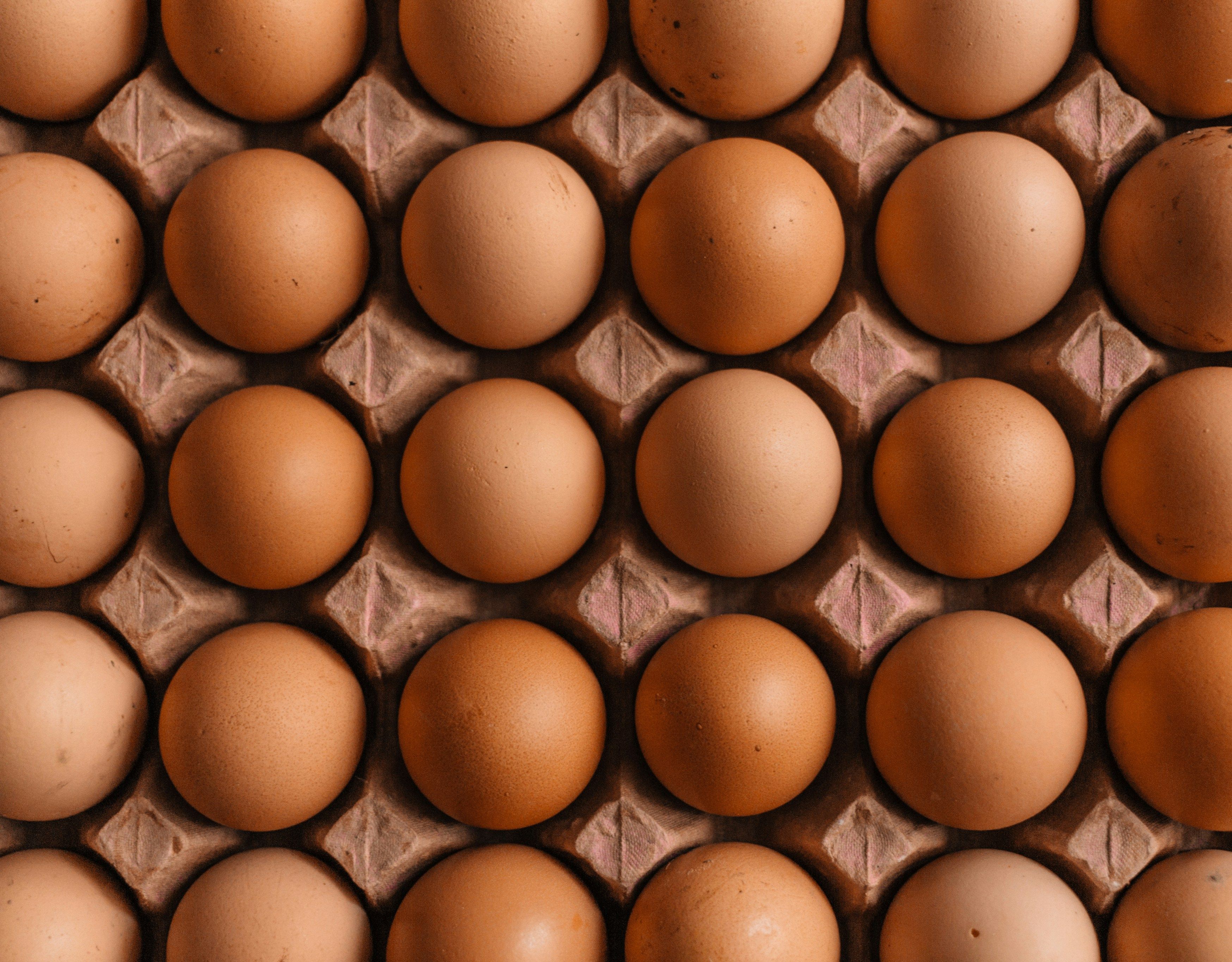 Čerstvá vejce v kartonovém obalu na farmářském trhu