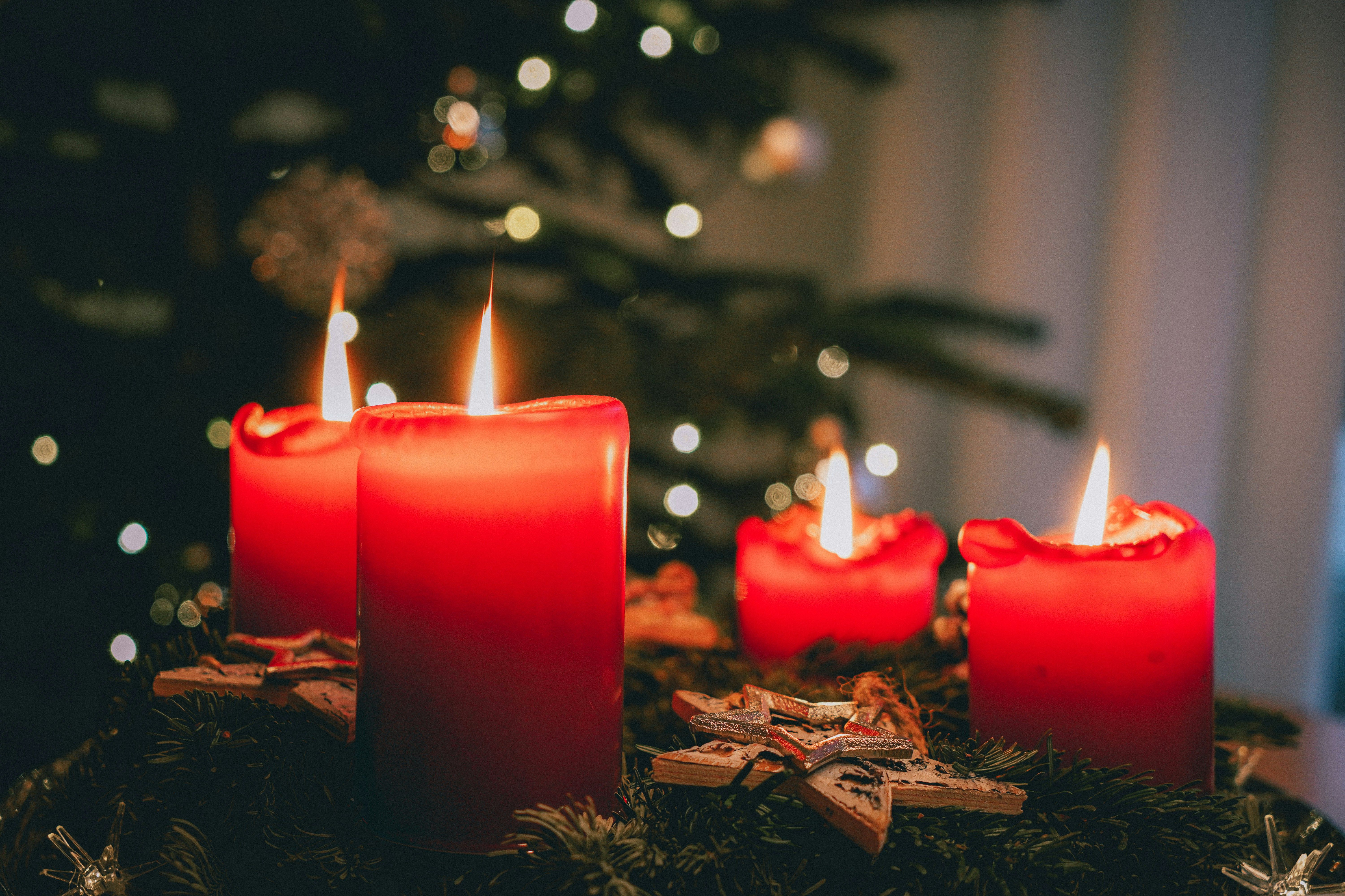 Zapálené červené svíčky na adventním věnci s vánočním stromkem v pozadí
