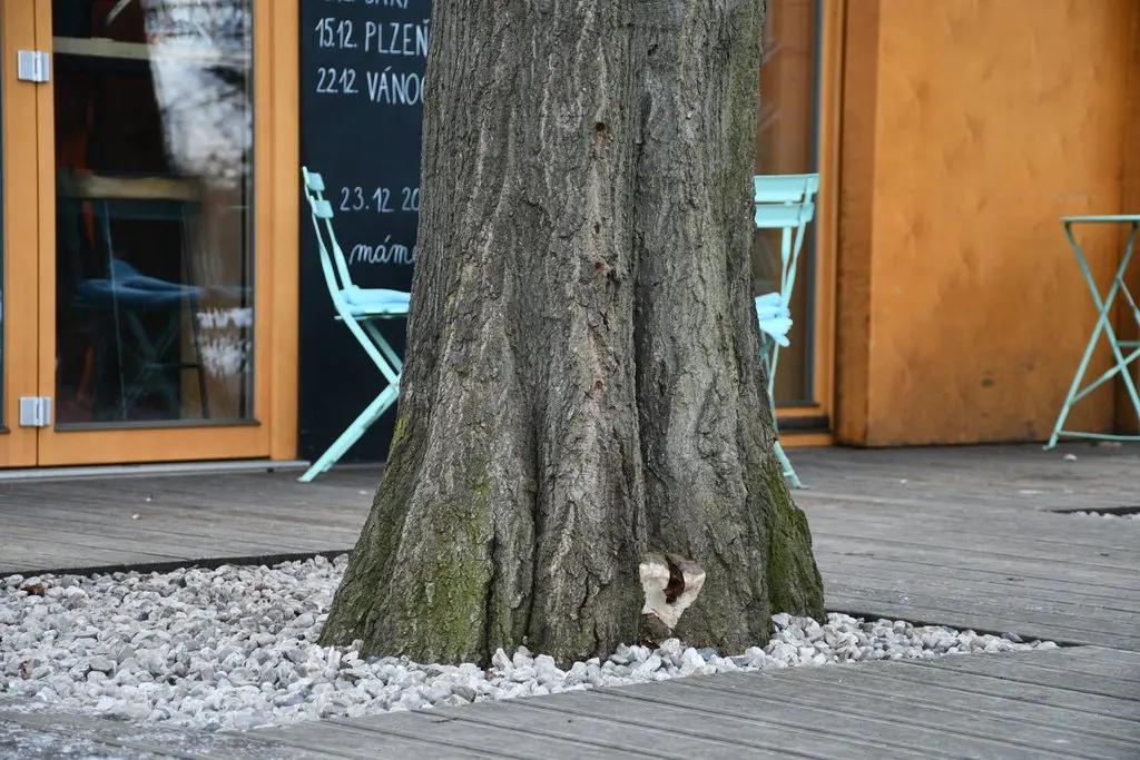Výstražná cedule upozorňující na kácení stromů v parku